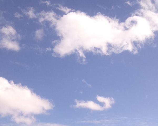 Sky on 01/03/2026 at 13:01 (Unlabeled)