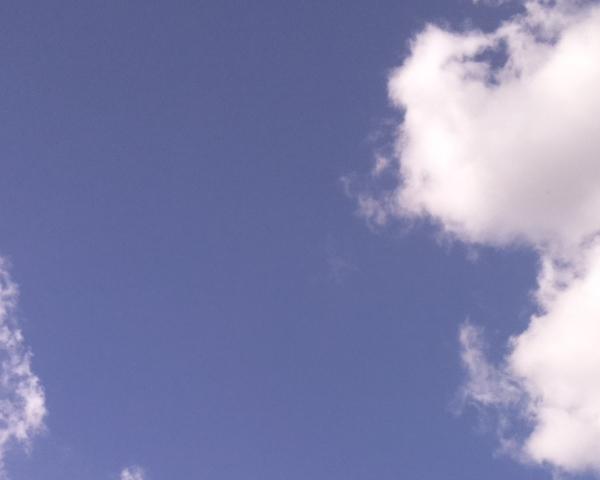 01/09/2026 at 13:01 — Unlabeled Sky on 01/09/2026 at 13:01 (Unlabeled)
