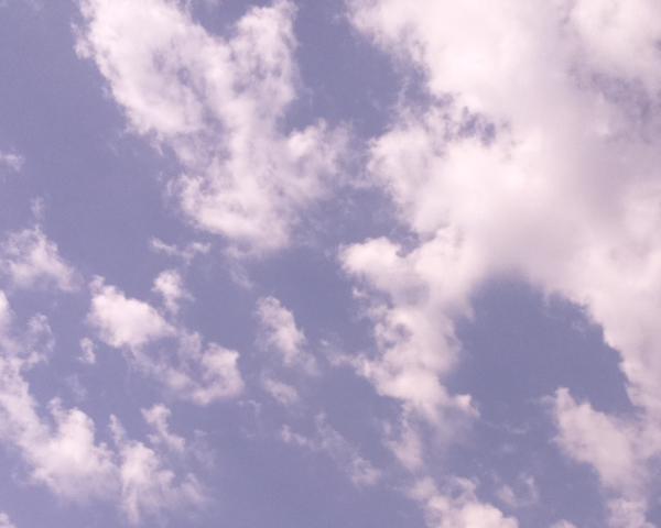 Sky on 03/08/2026 at 13:01 (Unlabeled)