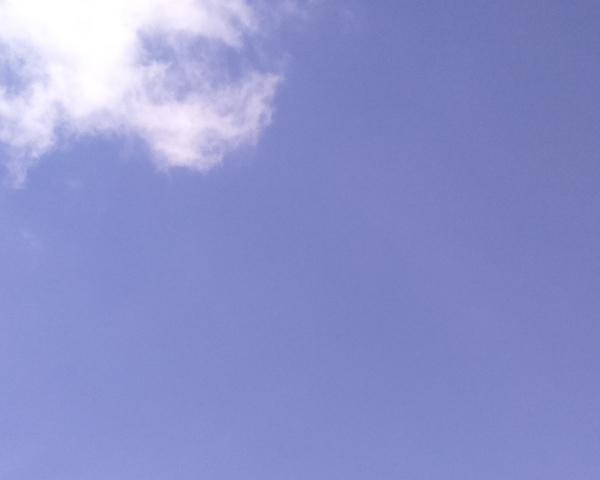 Sky on 05/05/2026 at 13:01 (Unlabeled)