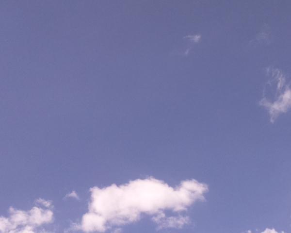 Sky on 05/08/2026 at 13:01 (Unlabeled)