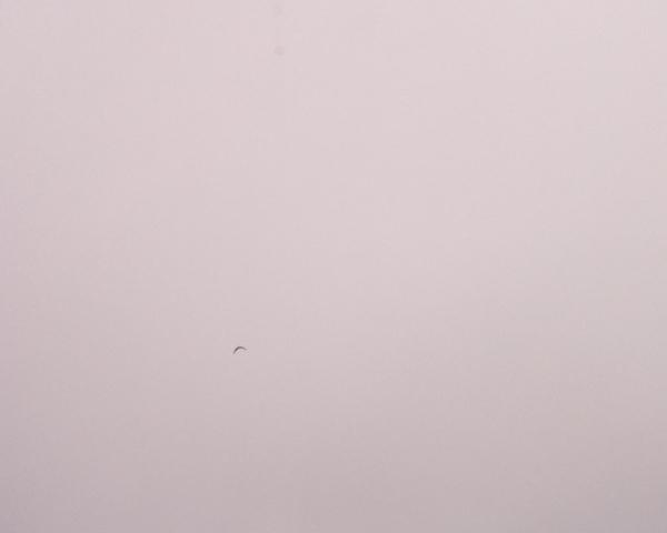 Sky on 07/03/2026 at 13:01 (Unlabeled)