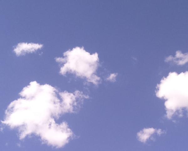 Sky on 07/05/2026 at 13:01 (Unlabeled)