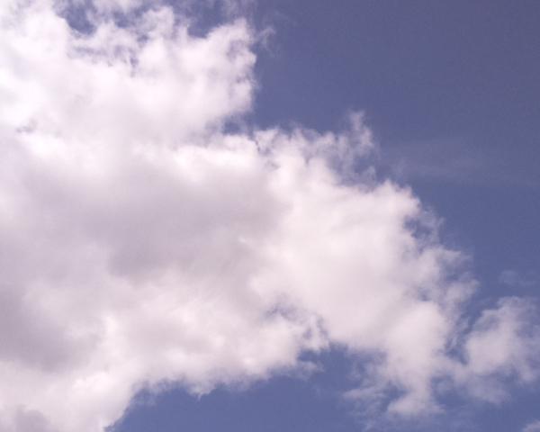 Sky on 07/08/2026 at 13:01 (Unlabeled)