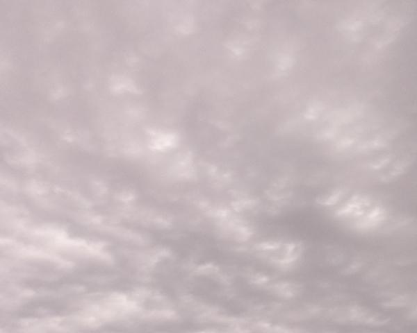 Sky on 11/04/2026 at 13:01 (Unlabeled)