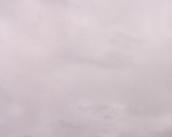Sky on 13/03/2026 at 13:01 (mostly cloudy / grey sky)
