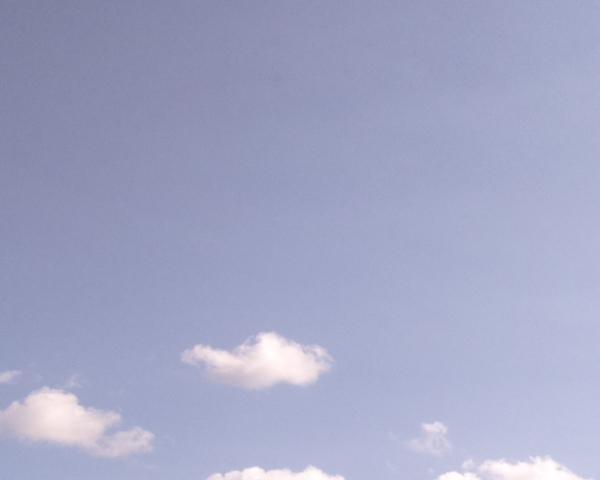 Sky on 15/03/2026 at 13:01 (clear blue sky dominating)