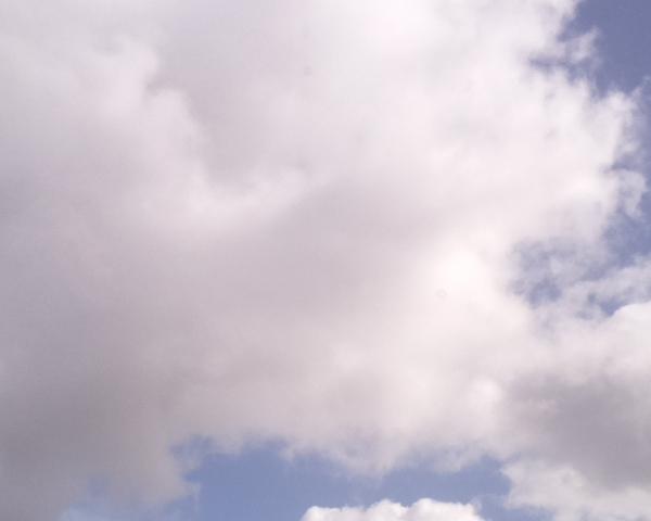 Sky on 16/03/2026 at 13:01 (mostly cloudy / grey sky)
