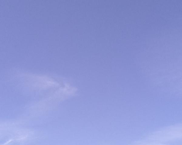 Sky on 16/04/2026 at 13:01 (Unlabeled)