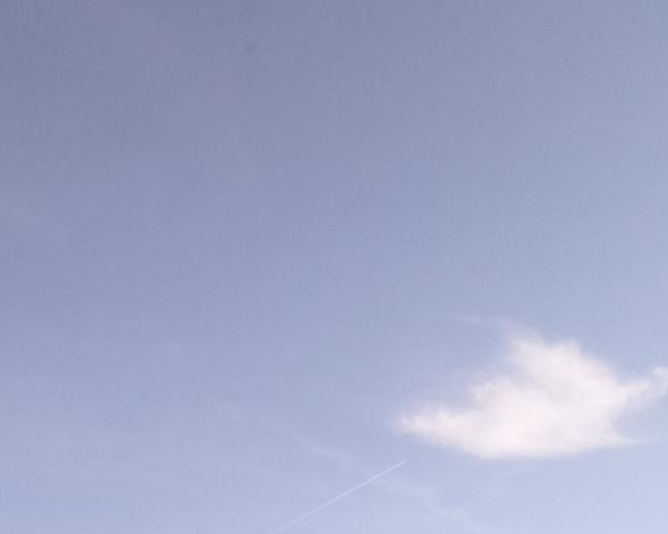 Sky on 18/01/2026 at 13:01 (Unlabeled)