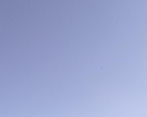 Sky on 19/03/2026 at 13:01 (Unlabeled)