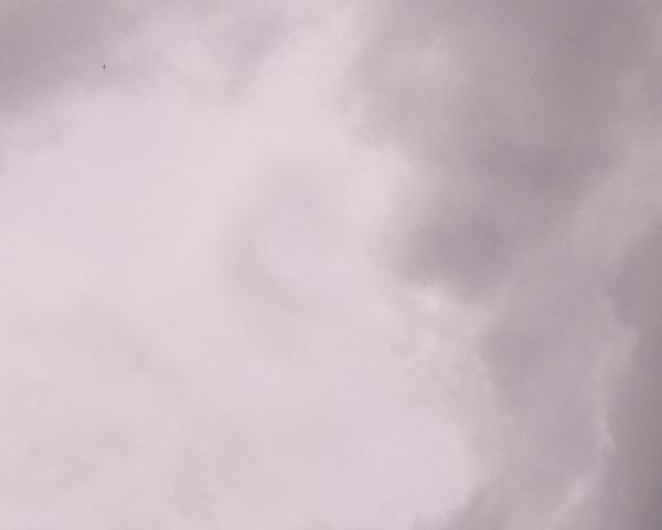 Sky on 21/05/2026 at 13:01 (Unlabeled)