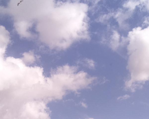 Sky on 25/03/2026 at 13:01 (Unlabeled)
