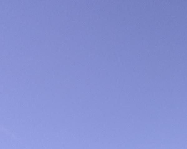 Sky on 25/04/2026 at 13:01 (Unlabeled)