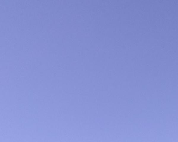 Sky on 29/04/2026 at 13:01 (Unlabeled)