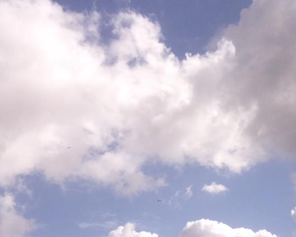 Sky on 30/03/2026 at 13:01 (Unlabeled)