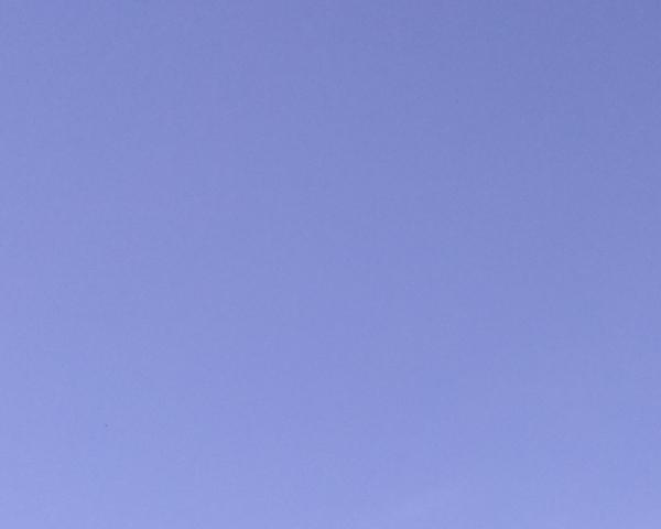 Sky on 30/04/2026 at 13:01 (Unlabeled)